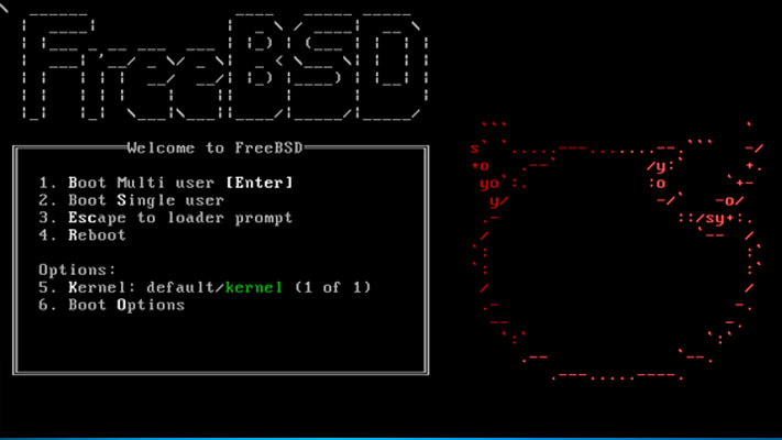 FreeBSD para Raspberry Pi