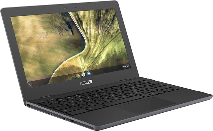 ASUS Chromebook C204MA-GJ0342